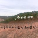 내곡리 Daum카페