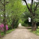 평택농장 이미지