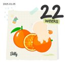 금실골프연습장업 | 임신일기 | 22-23주차, 딸기는 금실이지~