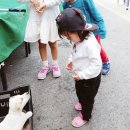 비발디 후문 이미지