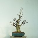 소사중학교 이미지