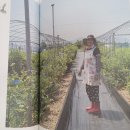 다산팜 이미지