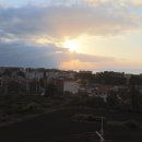 항구목장 이미지