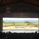 초야목장 이미지