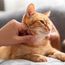 똑똑한 인스타그램 활용법 이미지