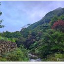 오도산황토펜션 이미지