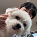 32_인물탐구 보고서