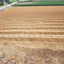 광명리마을회관 이미지