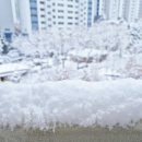 경기도 공용 사무공간 이용 방법부터 무료 교육까지 경기남부 꿈마루 소개