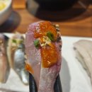 스시박 이미지