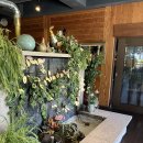 불타는 숯불 닭갈비 이미지