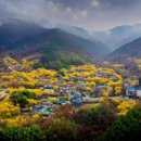 봄메디칼 이미지