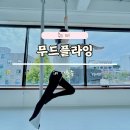 무드플라잉요가