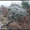 송산고등학교 이미지