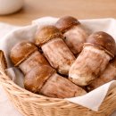 웰리스팜 이미지