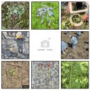 마곡3 연두어린이집 이미지