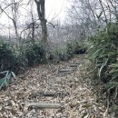 전북특별자치도 장수군 장수읍 게시대 | [전라도 백패킹] 초보자 추천! 난이도는 하, 조망은 상! 장수 팔공산(Mt. 80) 백패킹 후기