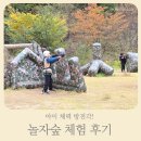 먹고놀자 | 아이 체력 방전각! 실내·실외 다 되는 놀자숲 체험 후기