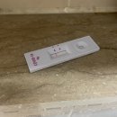 고촌이비인후과의원 | 코로나 신속항원키트(자가검사키트) 구매 및 사용 후기, 김포 코로나 검사 병원 장소와 검사 비용