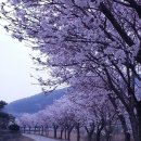 베어스 타운 이미지