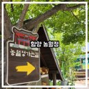 농월정주차장 | [아이랑 가볼 만한 곳] 함양 농월정에서 유딩들과 힐링하기 (2026년 5월 초 기준 발 담그기O 물놀이X)