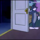 꼬마강아지 이미지