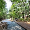 힐링스토리 이미지