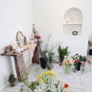 사림동136 이미지