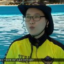 생존수영교육연구소