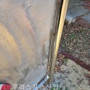 금성초등학교 티스토리