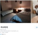 상비민박 네이버블로그