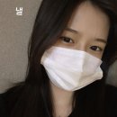 댕스토리 Daum카페