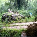 유전1리 이미지