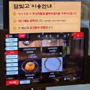 LH배꽃마을4단지 정문 건너편 | 평택 비전동 맛집 달빛에구운고등어 모듬구이 한상 어린이 함박 스테이크