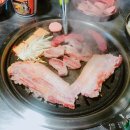 리얼스틸펜션2 이미지