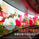 검단선사박물관본관내 | 춘천 아이 실내 가볼만한 곳｜무료 체험 가능한 국립춘천박물관