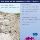 해조하우스 이미지