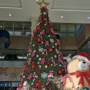 진동회집 이미지