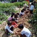 참샘웰빙어린이집 이미지