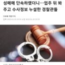 성매매 단속하랬더니…업주 뒤 봐주고 수사정보 누설한 경찰관들(+신고자 전화번호까지 알려줌) 이미지