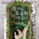 숲속의 미녀 뉴시스