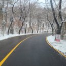 용인대 서현 태권도장 이미지