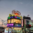 대포항식당 | 속초 대포항 점심맛집 머구리횟집 회세트 먹고온 후기 대게시세가격