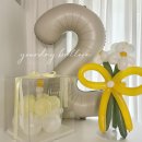 청도훼미리코아 | 파주 돌풍선 추천｜유얼데이벌룬으로 남긴 아이 생일의 기억