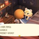 얌마과일 이미지