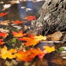 리틀가우디미술학원 이미지