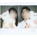 애착인형 추천🧸 | 체로프 몽모 모리 M사이즈 구매 후기