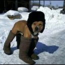 행복목장 이미지