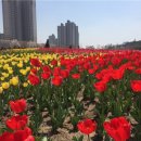 호수공원 2주차장옆 이미지