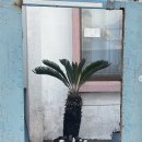 드로잉 클래스 | 제주 원데이클래스 추천｜수작 아트스튜디오 드로잉 아크릴 클래스 후기